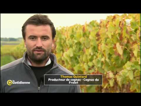 Vidéo: À La Découverte De L'Armagnac, Le Vieux Cousin Du Cognac