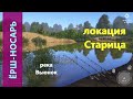 Русская рыбалка 4 - река Вьюнок - Ёрш-носарь за камышом