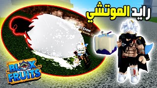 بلوكس فروت رايد فاكهة الموتشي الأكثر من أسطورية وإستعراضها مع روبلز 🤩✔ روبلوكس Roblox Blox Fruits