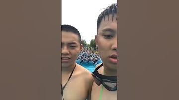 Wave Pool | Hit By Whales
