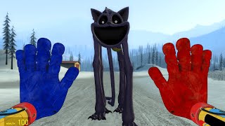 CatNap Chase, But with Grab Pack, Poppy Playtime Chapter 3 | Garry's Mod