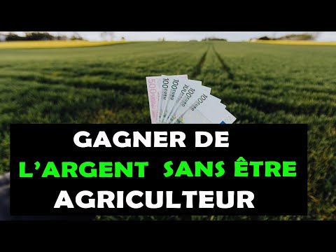 Vidéo: Pouvez-vous gagner de l'argent en cultivant du riz ?