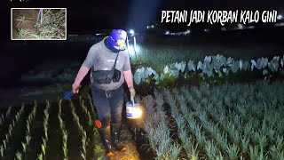 WARNING!!! Don't do this when fishing for eels/ngobor