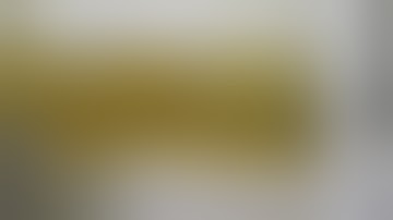 CBD Oil Extraction with  Coconut / MCT Oil Expeller - Vincent Screw Press