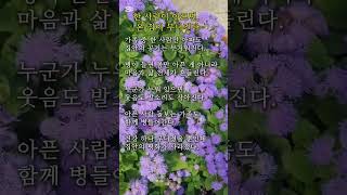 한 사람이 아프면 온 집안이 무너진다 #아게라텀(신뢰, 행복을 주는 사람) #명언 #멋진글귀 #공감글귀 #마음의소리로쓰는글