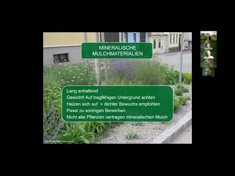 Video: Mulchen an windigen Stellen – So wählen Sie einen windfesten Mulch