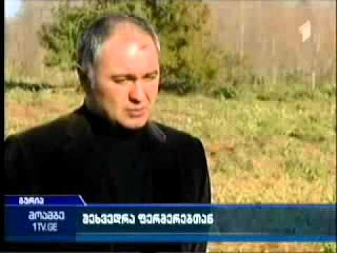 გურიაში მცხოვრები ფერმერები პროგრამა \"ქართული ჩაის\" გაეცნენ