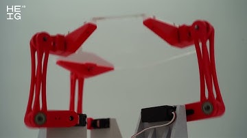 Projets multidisciplinaires 2024