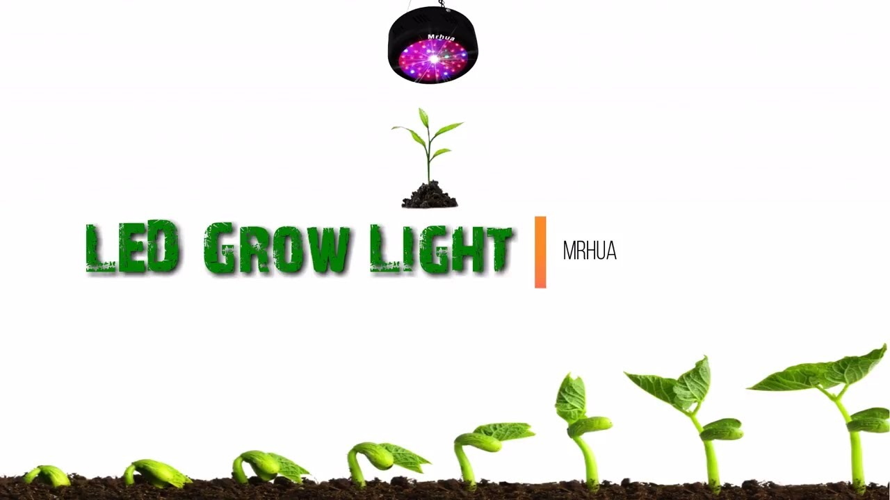 Excellent UFO 150W LED Grow Light Unboxing & Demonstration - Mrhua