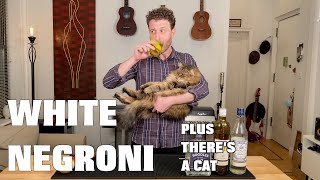 WHITE NEGRONI - plus cocktail history and a fluffy cat