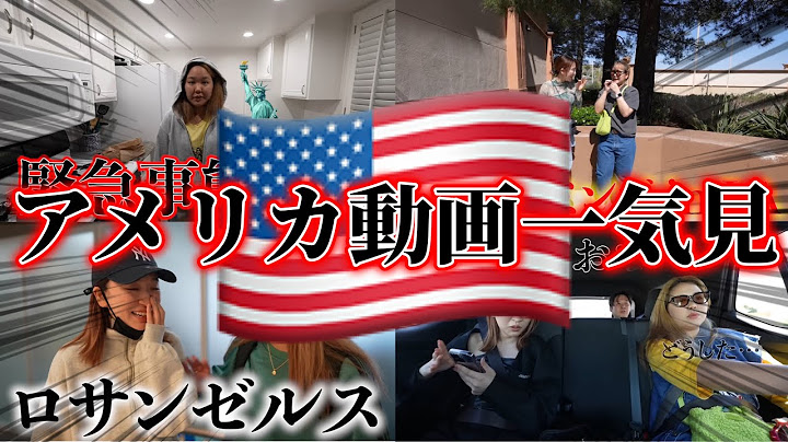 【作業・寝落ち用】INアメリカ動画一気見！【平成フラミンゴ　切り抜きch】