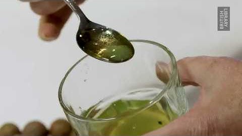 Making Manuscripts: Oak Gall Ink