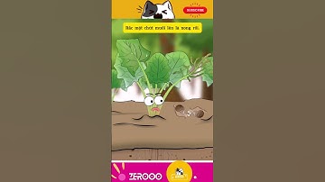 FUNNY VIDEO - MẸO DIỆT ỐC SÊN Ở VƯỜN HIỆU QUẢ #funny #animals #ocsen #shorts #memes #dongvat #fyp