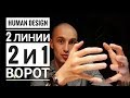 Дизайн Человека 2 и 1 ворота. 2 линии Даниил Трофимов. Human Design