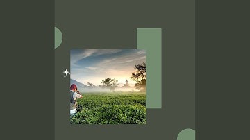 Pulsating Ambiance for Rejuvenating Seasons