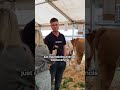 What do you do for a job?