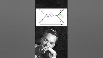 Richard Feynman - The Great Explainer