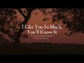 I Like You So Much, You&#39;ll Know It - Cover by Shafiyyah Raiedzall ( Lirik Terjemahan Indonesia )