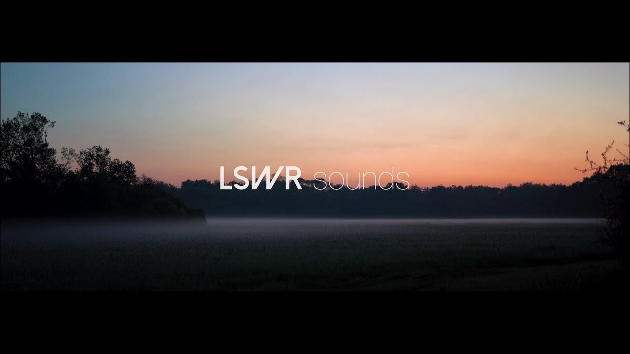 Field Recording 14 Dawn Chorus YouTube