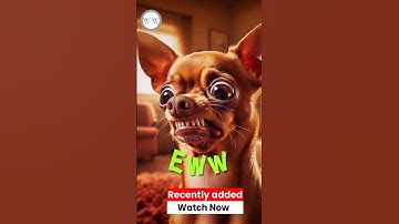 Brother Eww 🤢 #ai #aiart #chatgpt #copilot #aiartist #aiimagegenerator #aisenseiyt