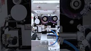 Full Automatic Filling and Packaging Food Multi-function Packaging Machine