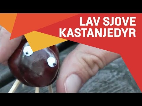 Video: Hvordan Man Laver Vegetabilsk Sauté Med Kastanjer