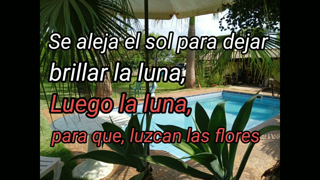 karaoke De mil Amores - David Alejandro