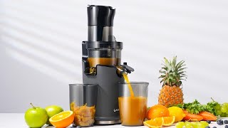 Compact GDOR Masticating Juicer with Powerful 60NM DC Motor, Low Noise,  Space-Saving Cold Press Juice Exrtractor Machines, Easy to Clean Slow  Juicer