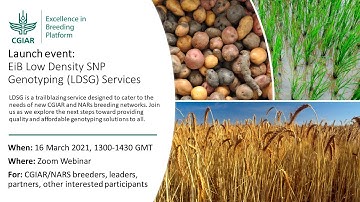 Low Density SNP Genotyping Services: An EiB Launch Event