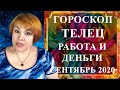 ТЕЛЕЦ - работа и деньги сентябрь 2020 (денежный гороскоп)