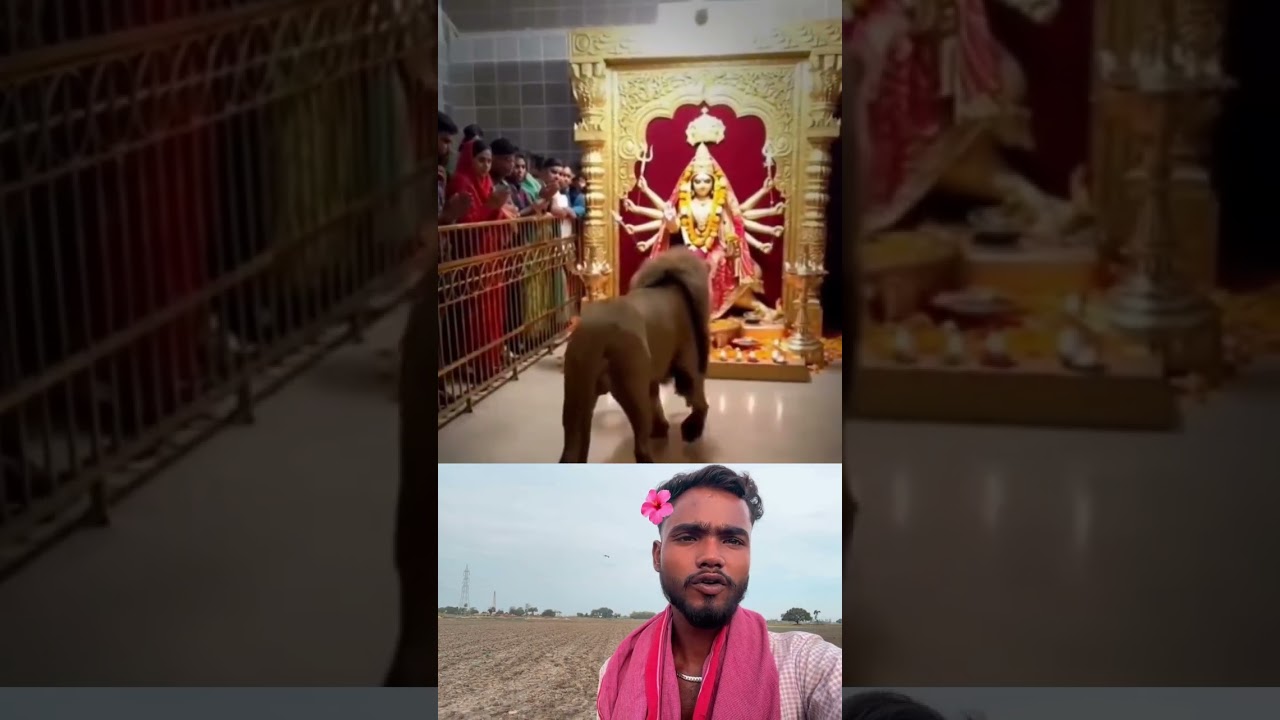 जय माता दी 🙏 #youtubeshorts #mahadiv #bhakti #challenge #shorts