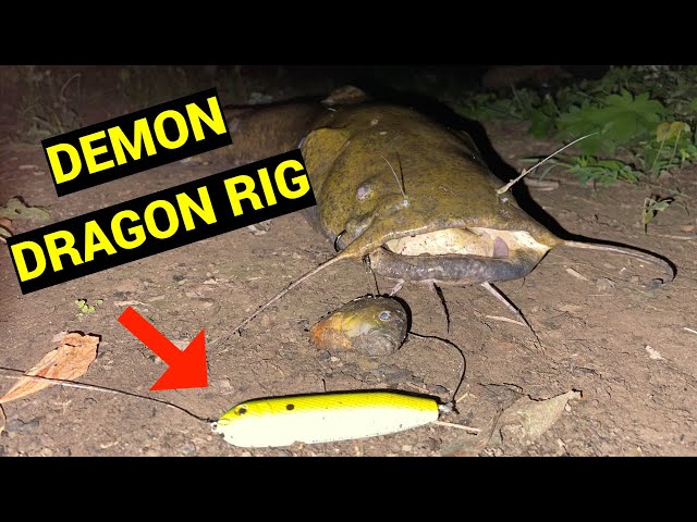 Catfishing with the DEMON DRAGON Rig (BIG FLATHEAD