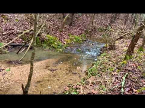 Creek on 6 acres with power, phone, driveway, timber, and MORE! - HV06