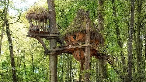Magical Bird Nest Tree House in Nature of France