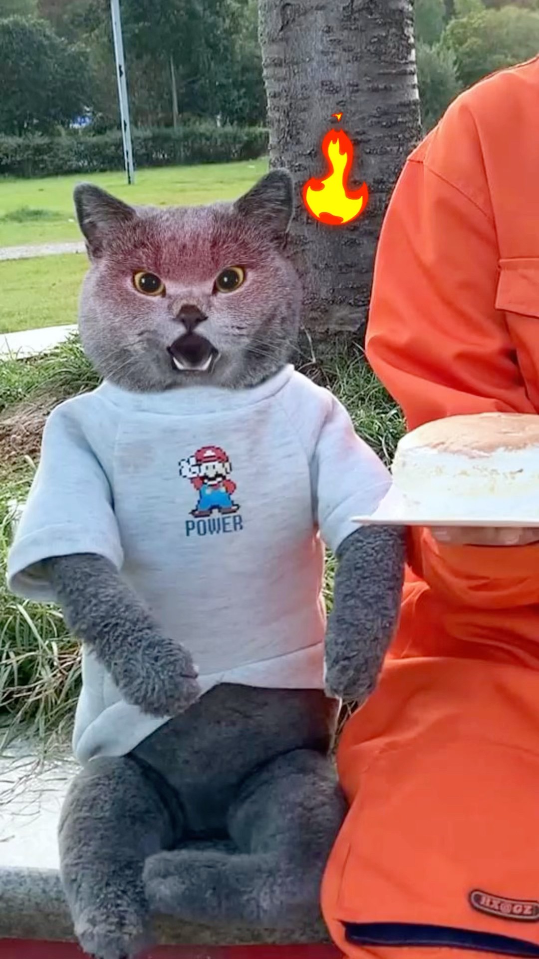 ?Let’s Make Amazing Chocolate Cake Again!?? #catvideos #catmemes #trending