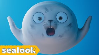 Baby Seal in Wonderland🎡 | SEALOOK | EP.107