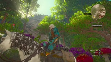 Witcher 3 Roach Glitch