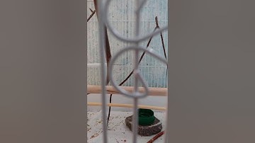 New Finch flight cage part 2
