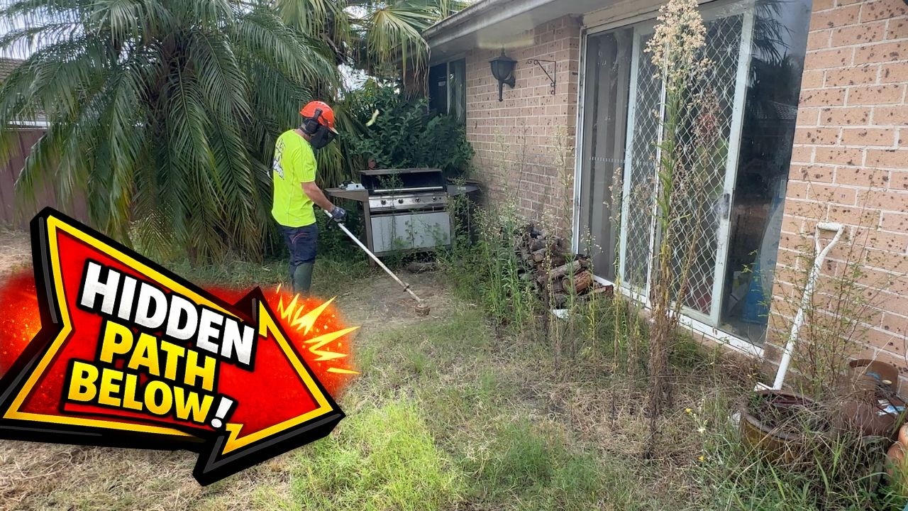 Can I Uncover this HIDDEN paved area that Nature Claimed!?