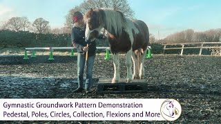 Gymnastic Groundwork Pattern - Pedestal, Poles, Circles, Collection, Flexions