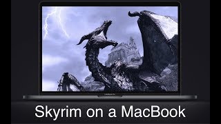 Skyrim on a Macbook (Iris Pro 640)