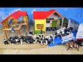 Moving Cows and Bulls # Parte 2/ Farm /Toros /toro/ Vacas