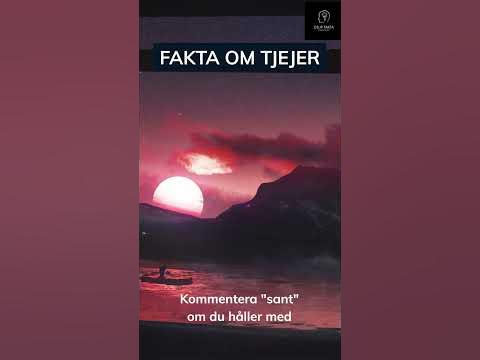 Är tjejer tankeläsare? #fakta #fördig #sverige #tiktokviral #tjejer #