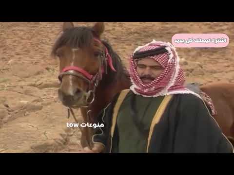 روحي الصفدي ضاق صدري