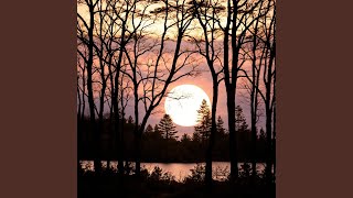 Nature's Tranquil Glow in Harmony 2