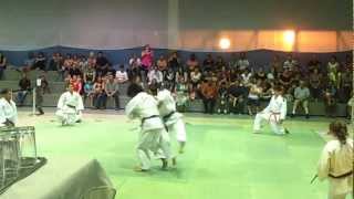 Judo Show Botucatu 2012