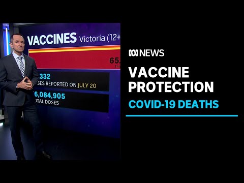 Health experts reiterate the importance of vaccines as COVID-19 cases ride | ABC News