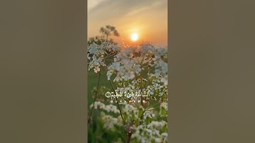 أيات من سورة الحج للقارى سعد الغامدي
