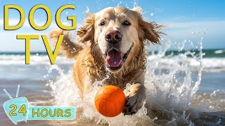 DOG TV: 24 Hours of Soothing Music for Anxious Dogs when Home Alone - Video Entertai & Relax for Dog