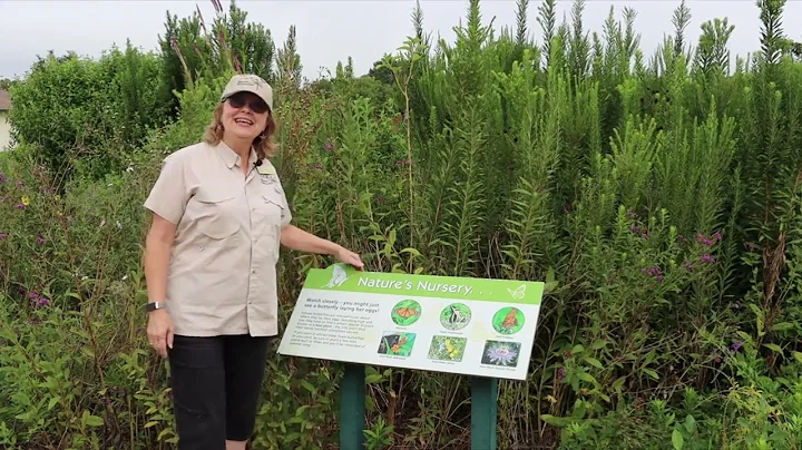 SEABOURNE CREEK NATURE PARK SEPT 2020 - Tour by Te...